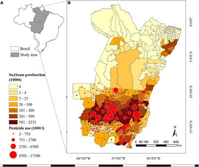 Biotic Yield Losses in the Southern Amazon, Brazil: Making Use of Smartphone-Assisted Plant Disease Diagnosis Data